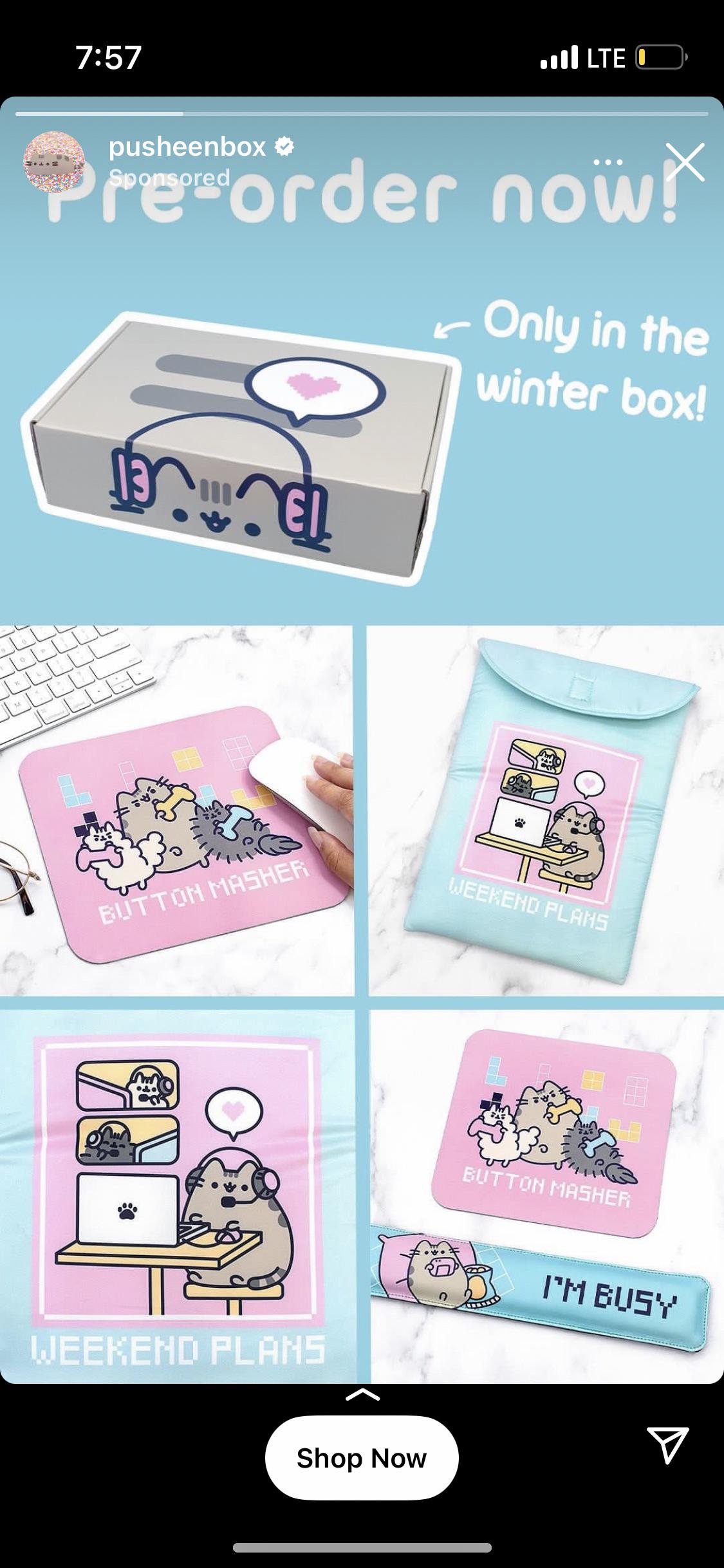Winter pusheen box spoilers rpusheen
