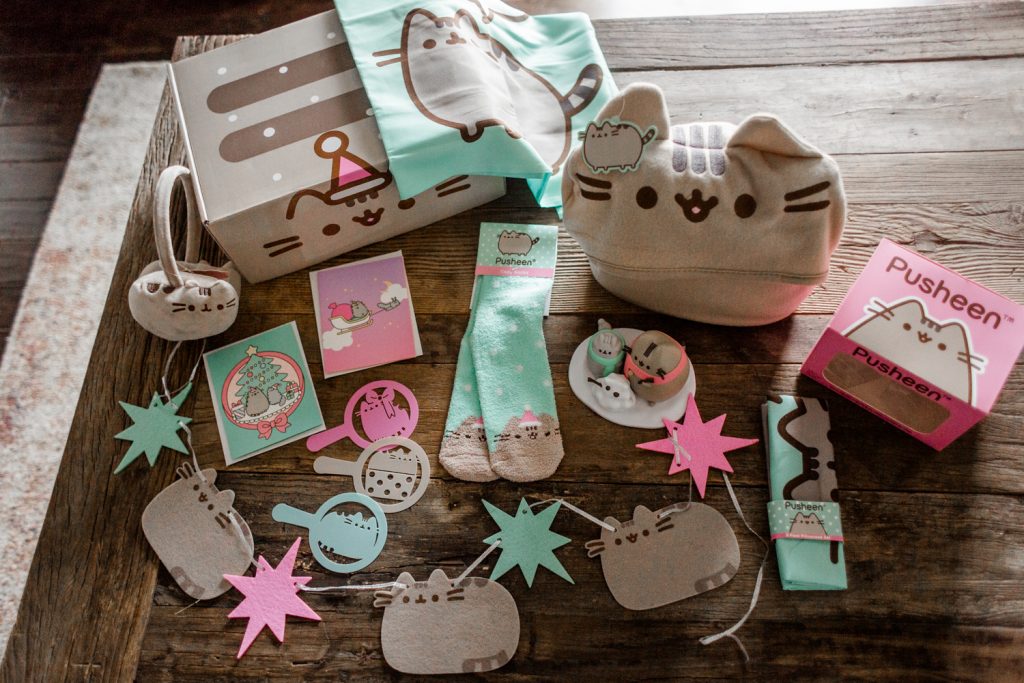 Winter pusheen subscription unboxing
