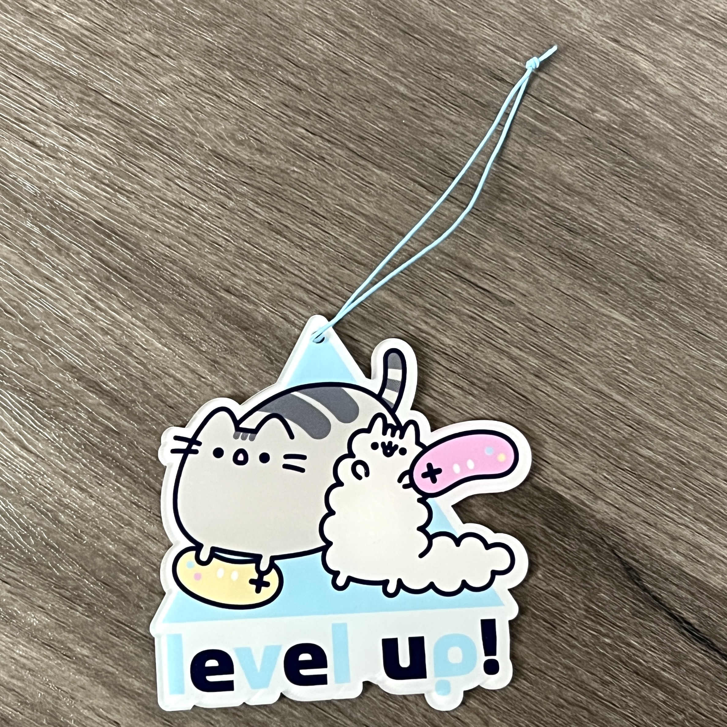 Pusheen box review â winter msa