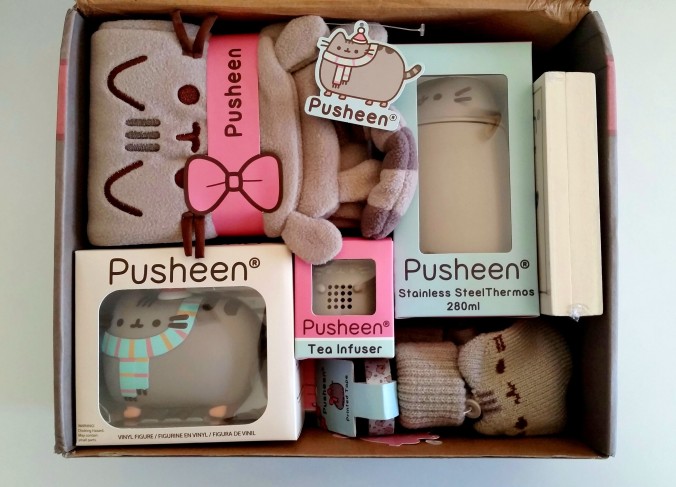 Pusheen box â winter