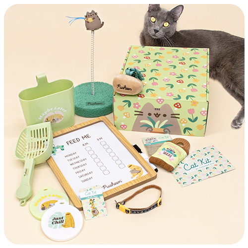 Past boxes pusheen box