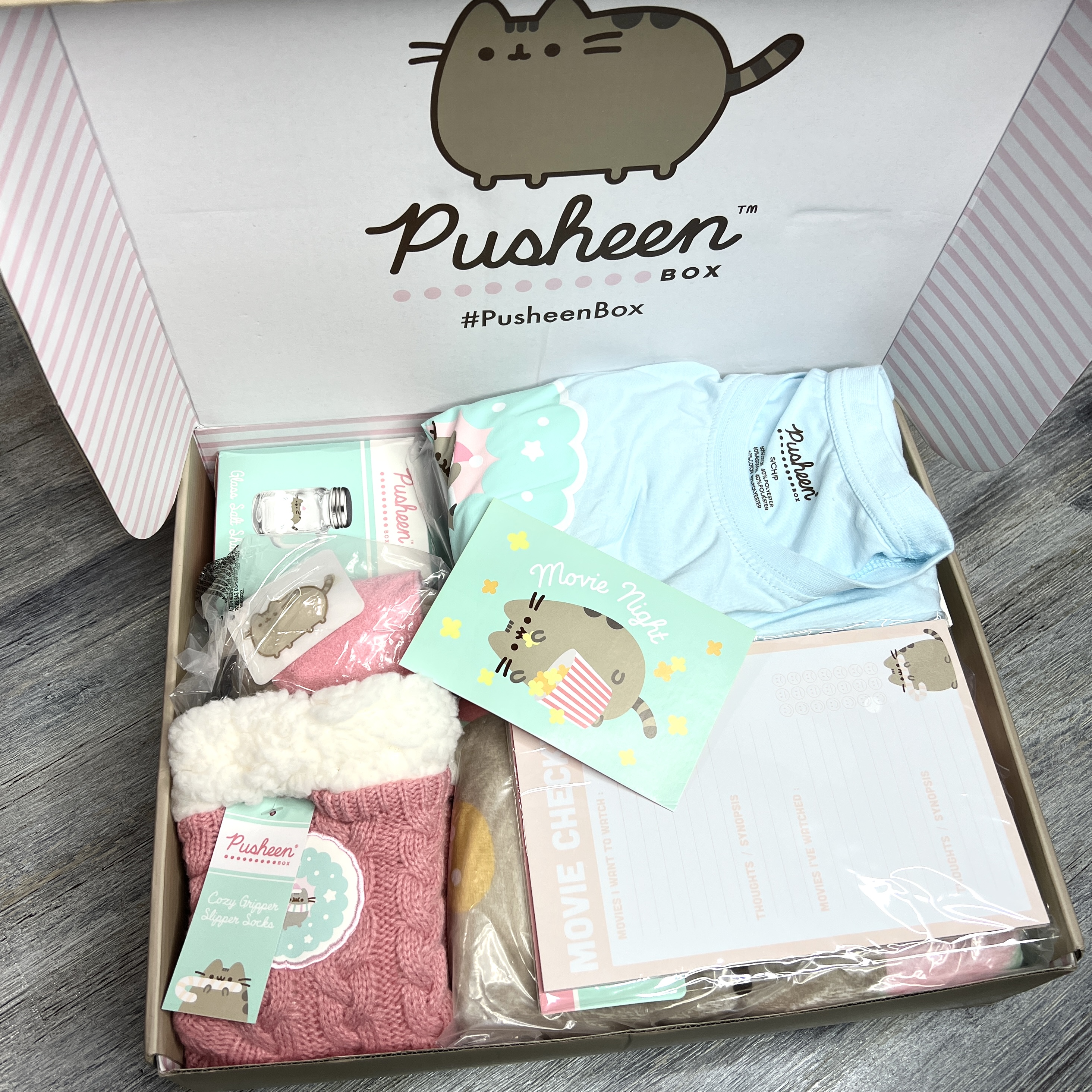 Pusheen box âholiday movie nightâ review â winter msa