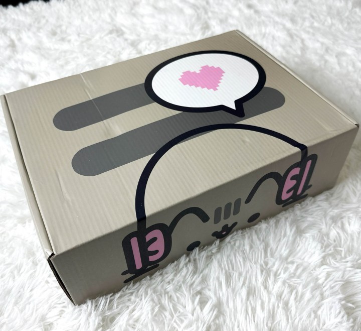 Pusheen box winter review gaming