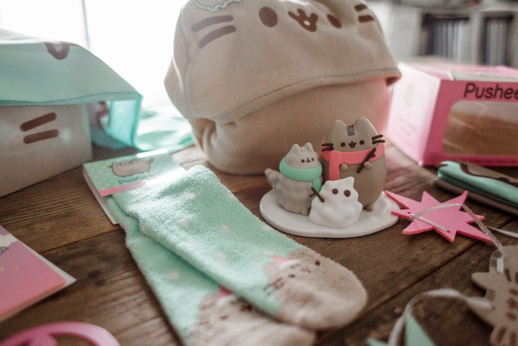 Winter pusheen subscription unboxing