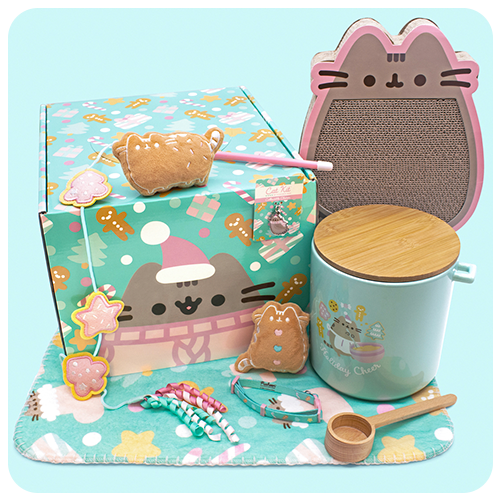 Past boxes pusheen box