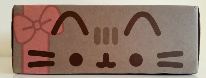 Pusheen box â winter