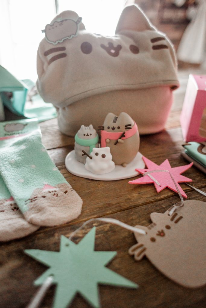 Winter pusheen subscription unboxing