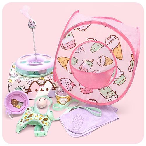 Past boxes pusheen box