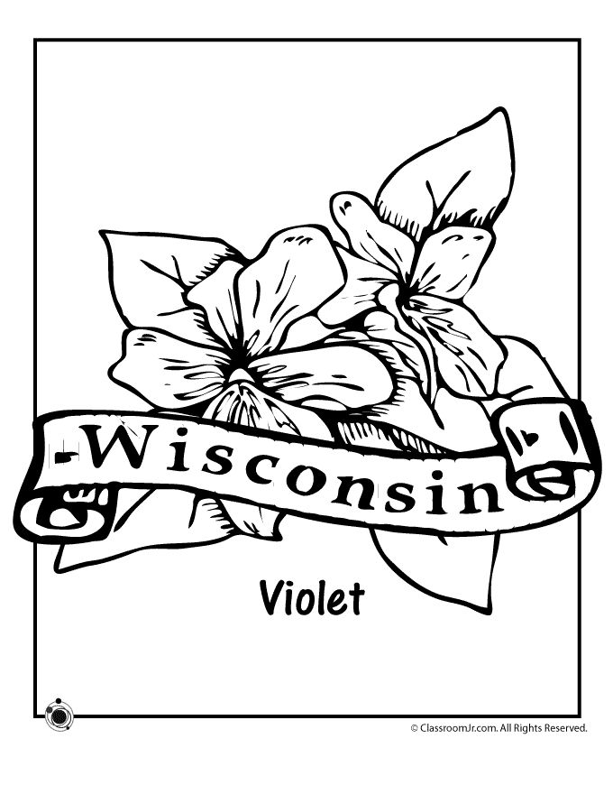 Wisconsin state flower coloring pages