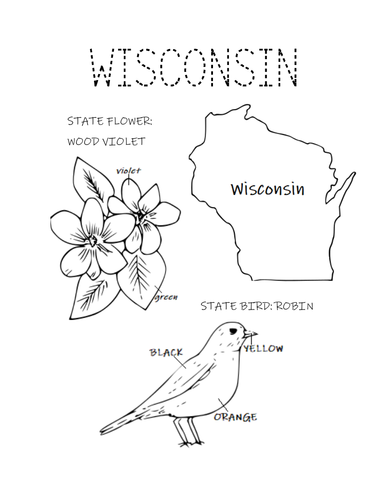 Wisconsin state bird and flower coloring page teaching resources