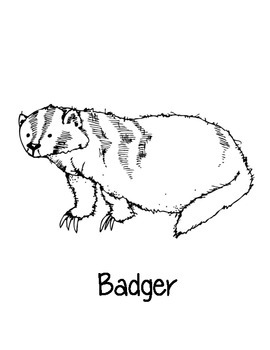 Wisconsin state coloring pages by loving life in kindergarten tpt