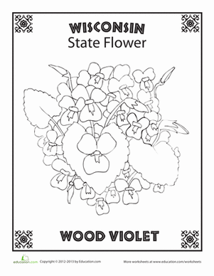 Wisconsin state flower wisconsin state art lessons middle school free printable coloring pages