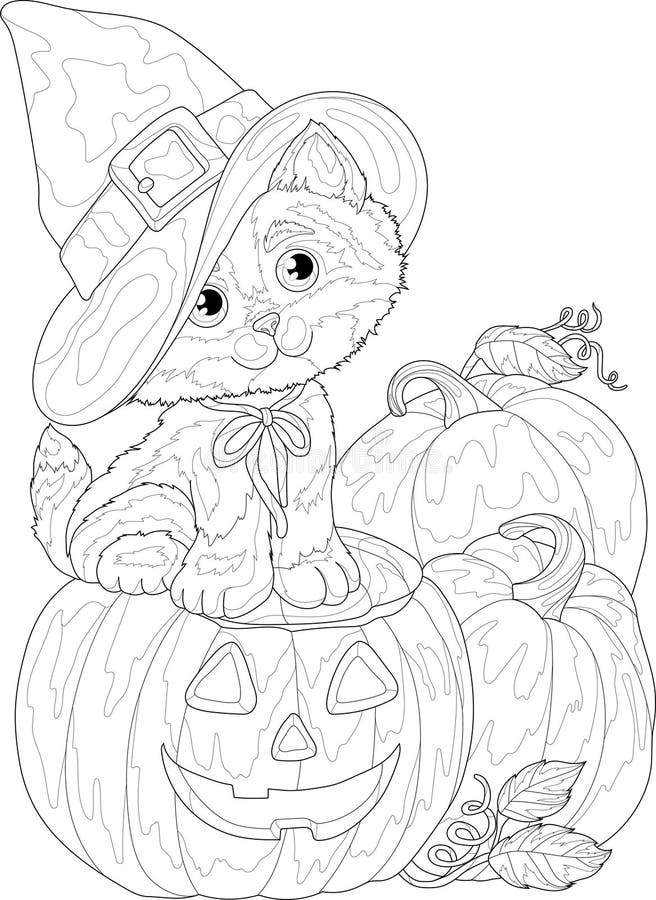 Cute cartoon cat in witch hat sitting with pumpkins with carved face sketch template spooky halloween vector illustration in blac stock vector