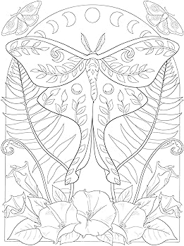 Creative haven witchcraft coloring book spellbinding designs adult coloring books fantasy mazurkiewicz jessica books