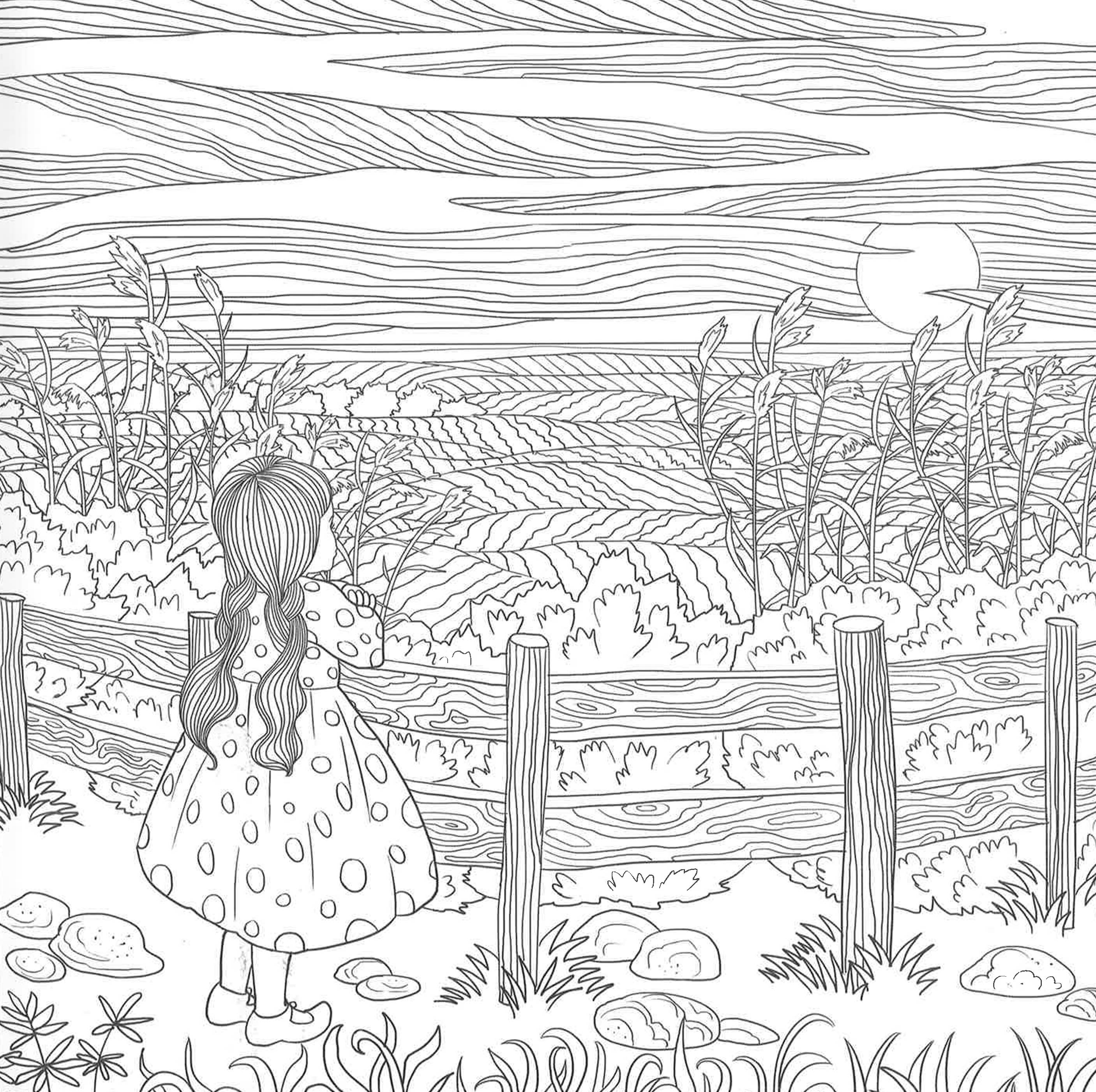 The wizard of oz coloring book â