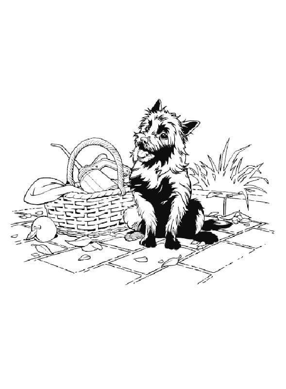 In the magical land of oz coloring page