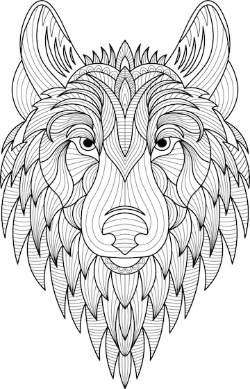 Premium vector handdrawn wild wolf head adult coloring book page illustration for stress relief