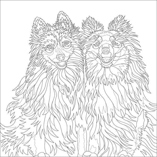 Adult coloring pages wolves images stock photos d objects vectors