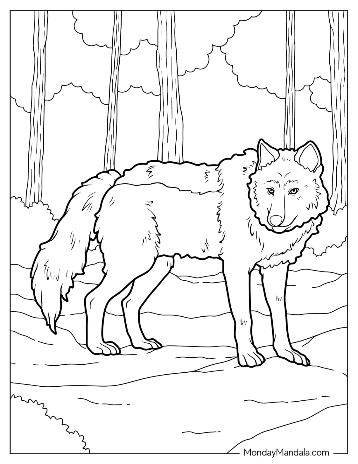 Wolf coloring pages free pdf printables