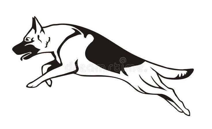 German shepherd cartoon german shepherd in jump sticker sponsored sponsored ad shepherd juâ most popular dog breeds dog coloring page german shepherd