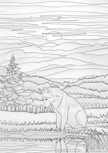 Wolf enjoys the sunset