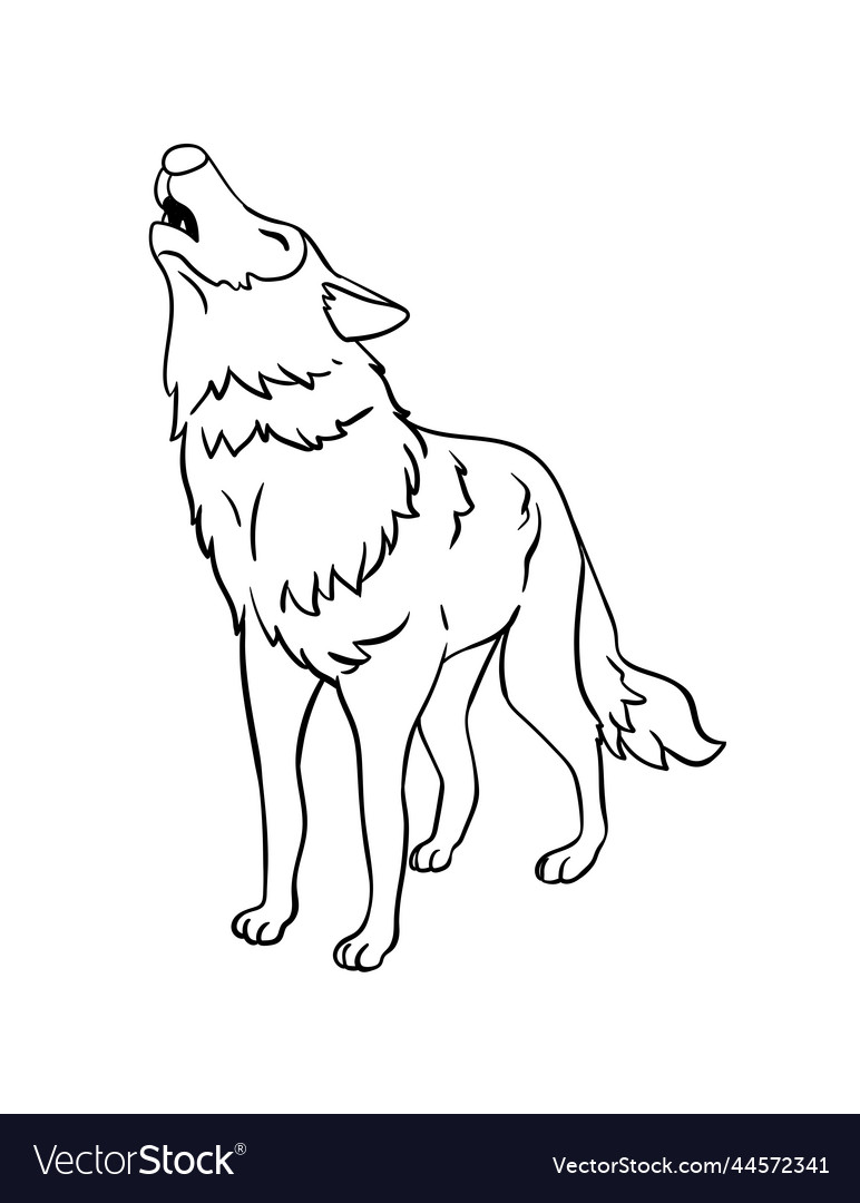 Wolf isolated coloring page for kids royalty free vector