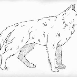 Wolf coloring pages printable for free download