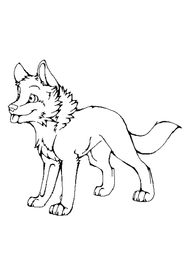 Coloring pages baby wolf coloring pages