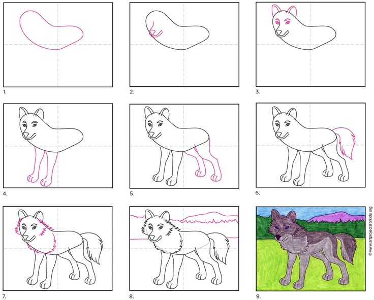Easy how to draw a wolf tutorial and wolf coloring page wolf drawing easy elementary drawing wolf drawing