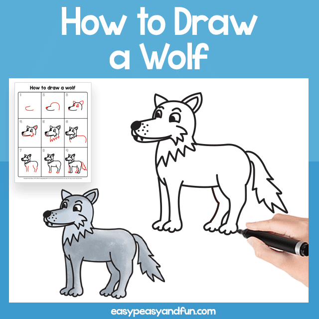 How to draw a wolf â step by step drawing tutorial