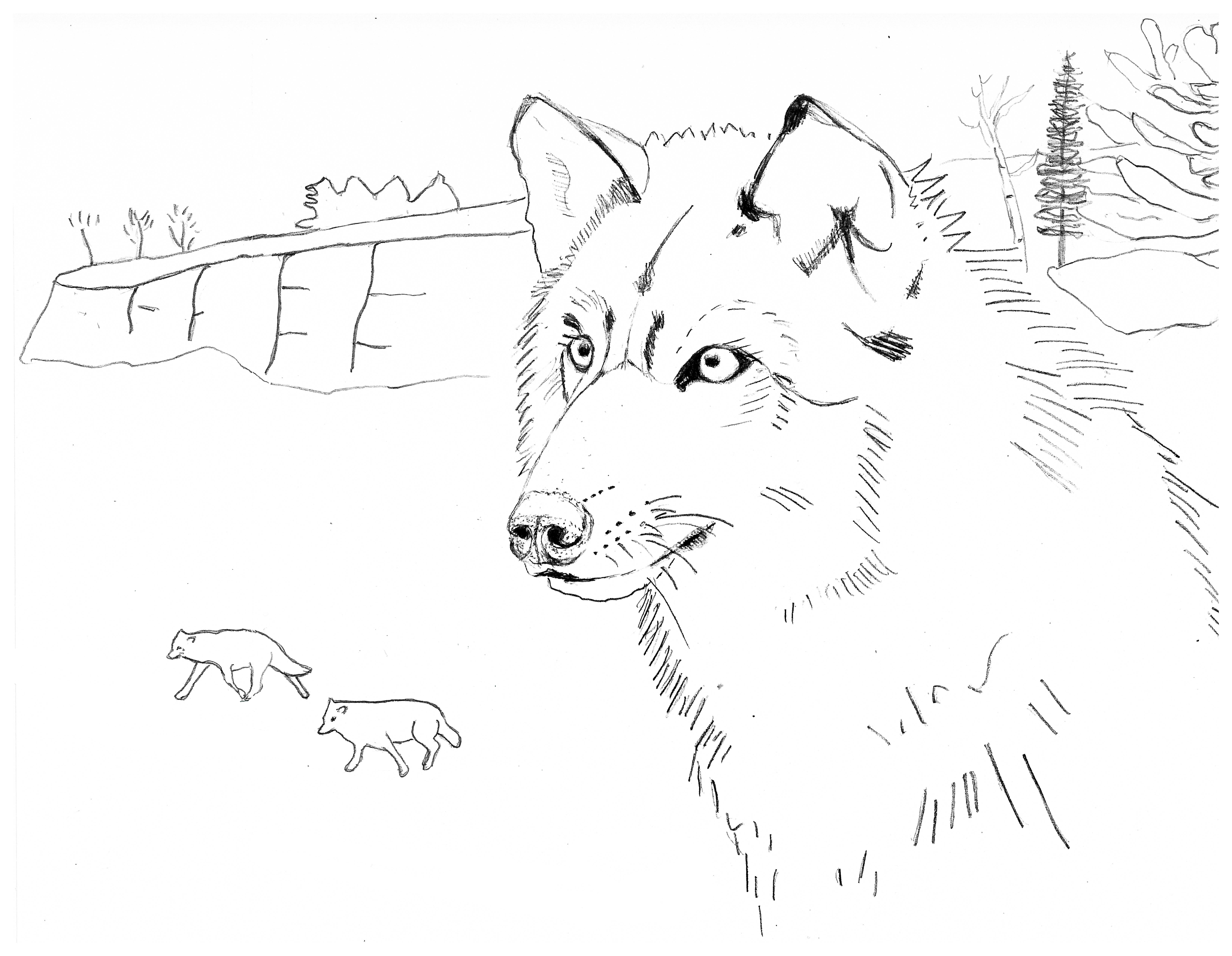 Coloring pages