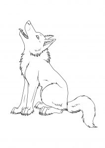 Wolf