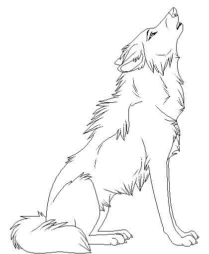 Top free printable wolf coloring pages online wolf colors animal drawings wolf sketch