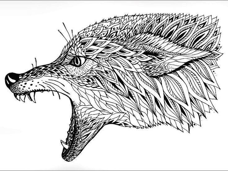 Wolf head hard coloring page for adults follow onlycoloringpages animal animals bâ zoo animal coloring pages animal coloring pages horse coloring pages