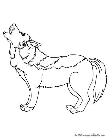 Wolf coloring pages