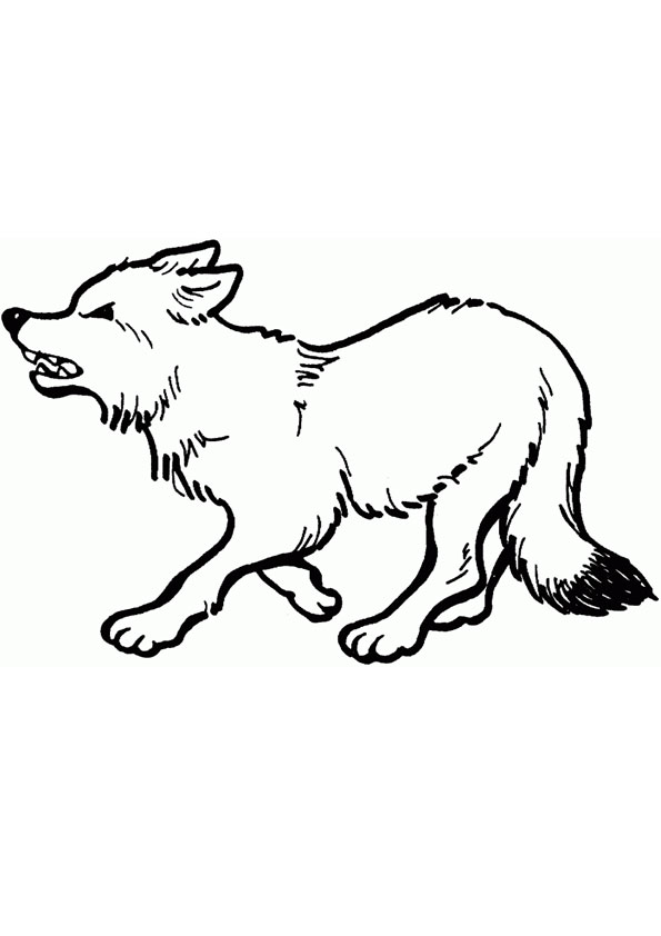 Coloring pages fox coloring pages for kids