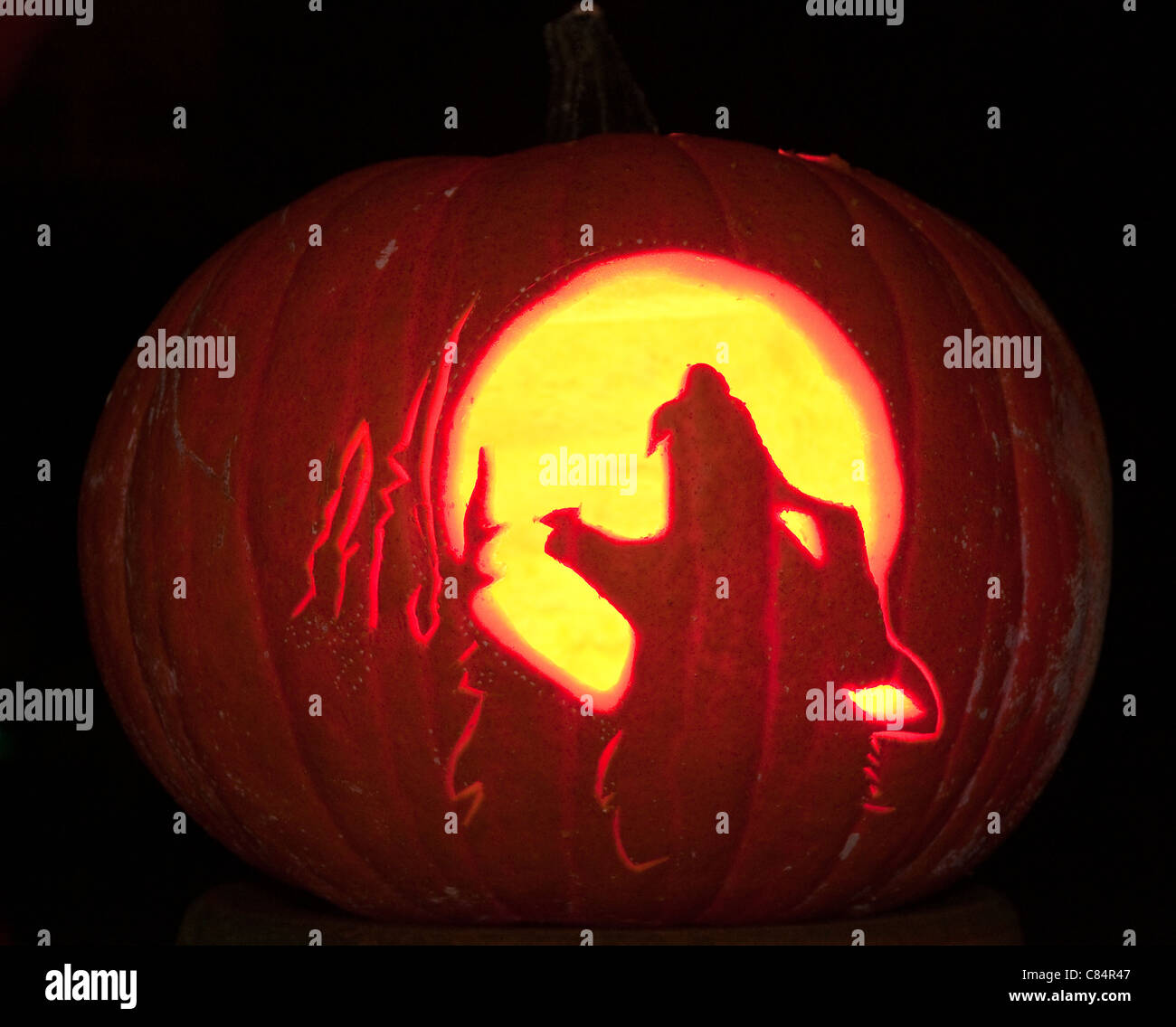 Wolf pumpkin hi