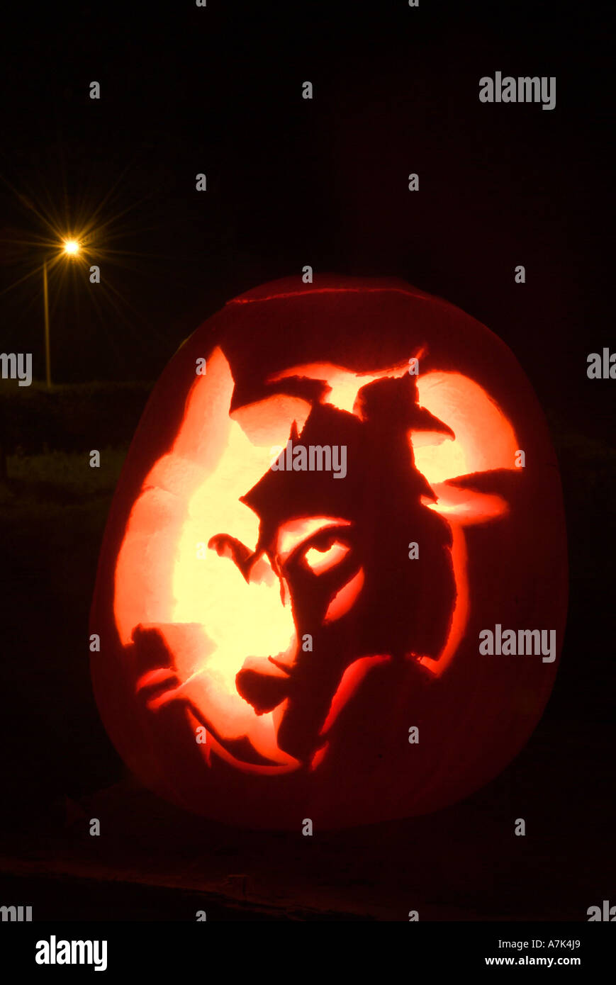 Wolf pumpkin hi