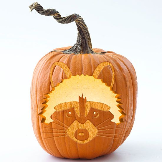 This raccoon pumpkin stencil makes a cute halloween critter