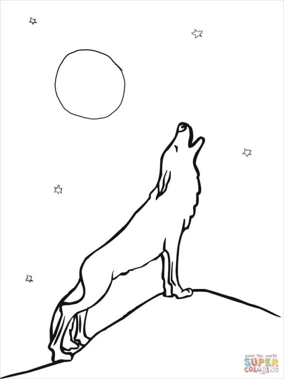 Wolf drawings