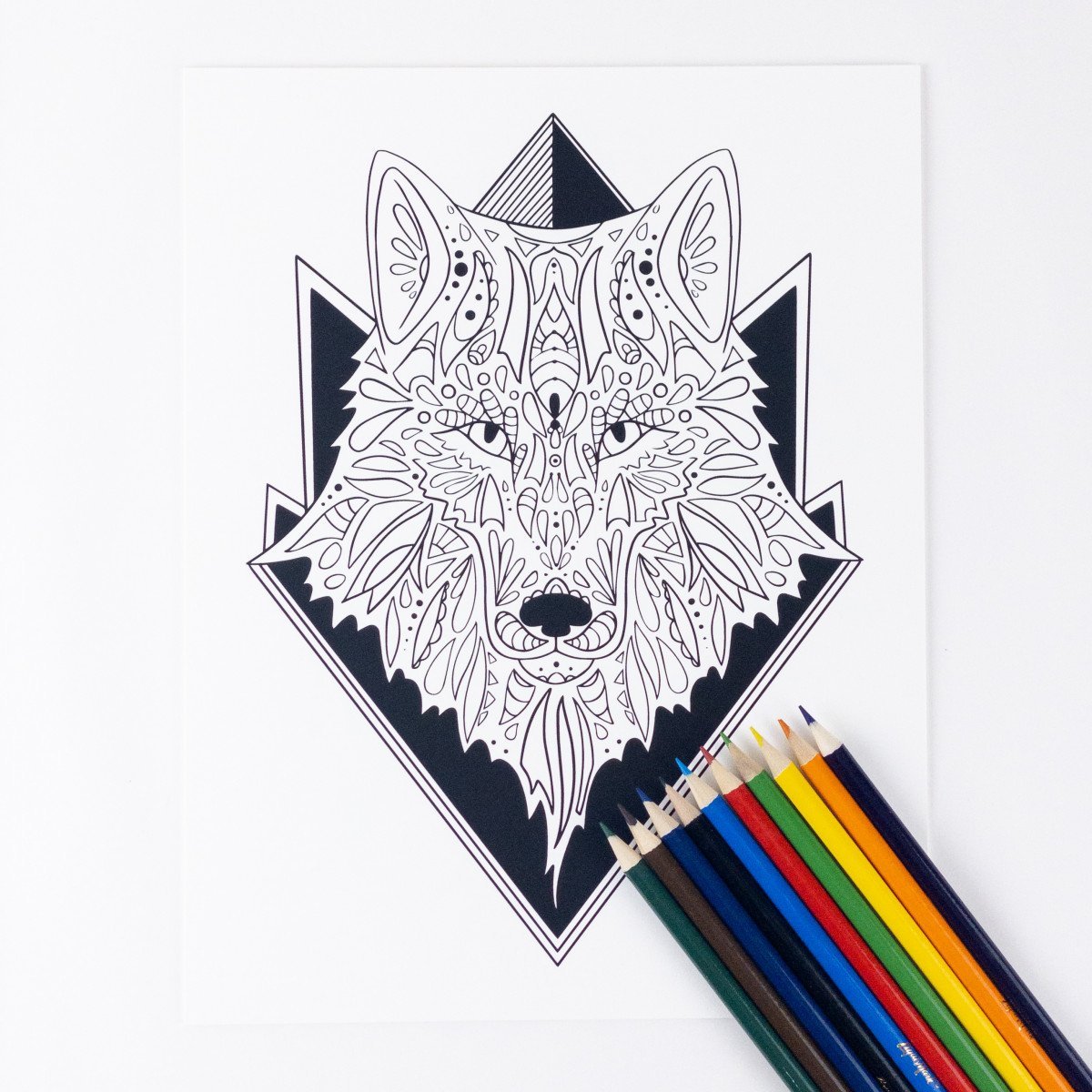 Animals