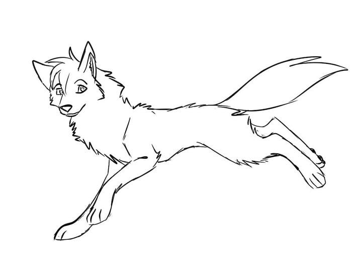 Wolf
