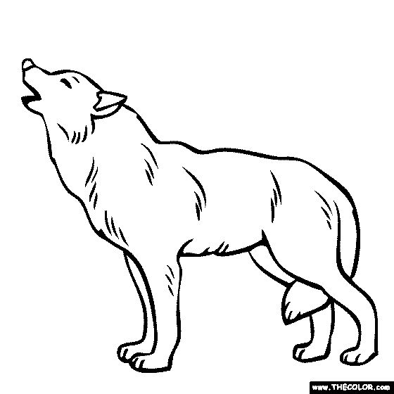 Wolf coloring page gif pic wolf colors animal outline coloring pages