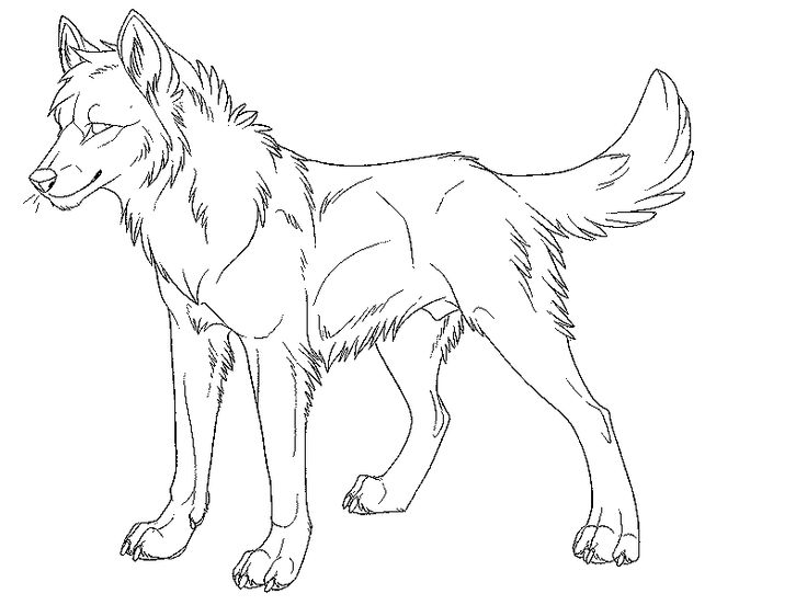 Free printable wolf coloring pages for kids wolf colors animal templates dog coloring page