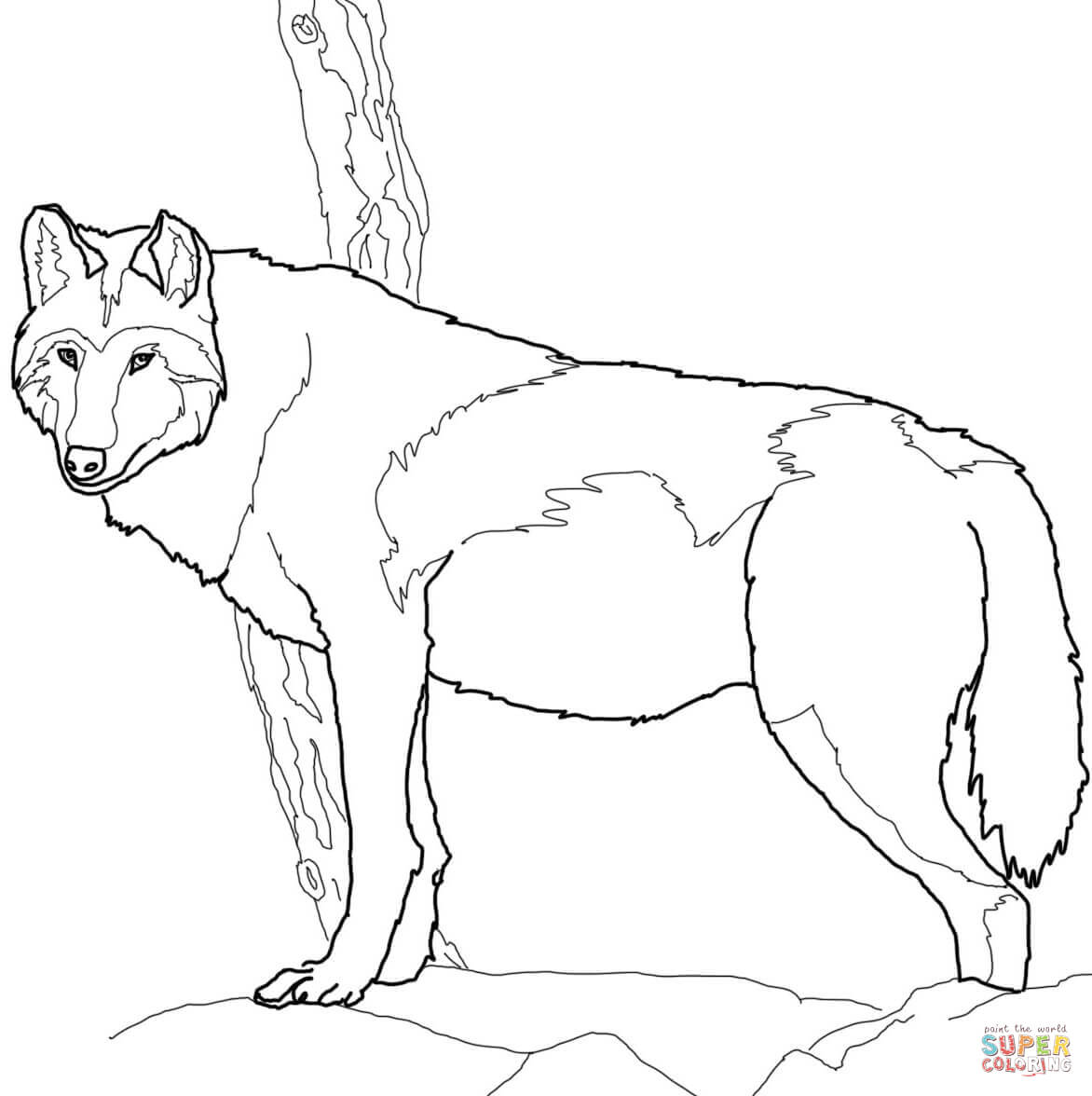 Canadian timber wolf coloring page free printable coloring pages