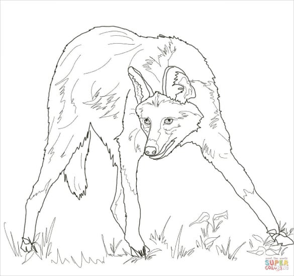 Wolf drawings