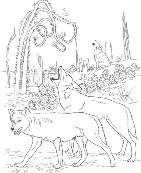 Free easy to print wolf coloring pages