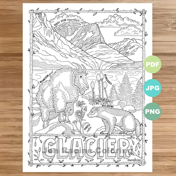 National park coloring page glacier montana national park landscape animal plant wildflower coloring page printable