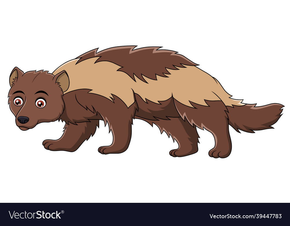 Cute wolverine animal cartoon royalty free vector image