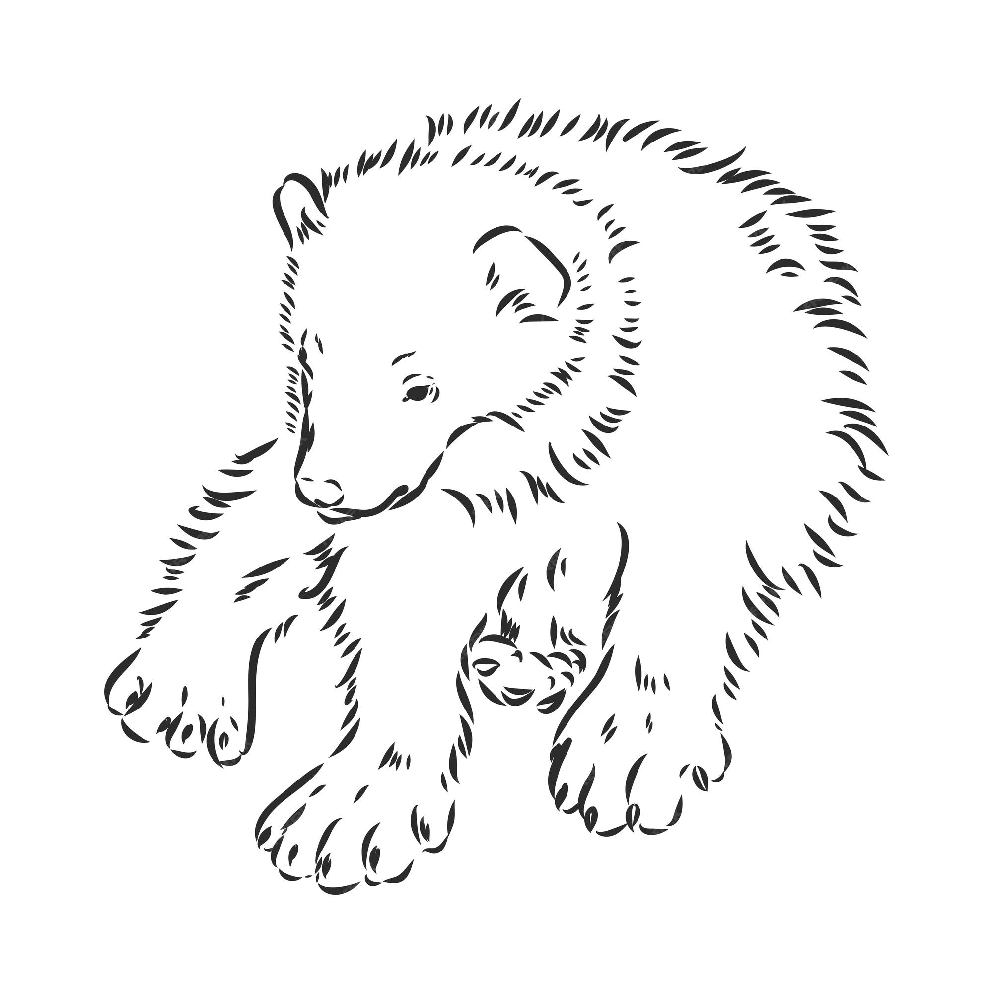 Premium vector vector hand sketch drawing illustration of a wolverine done in black and white